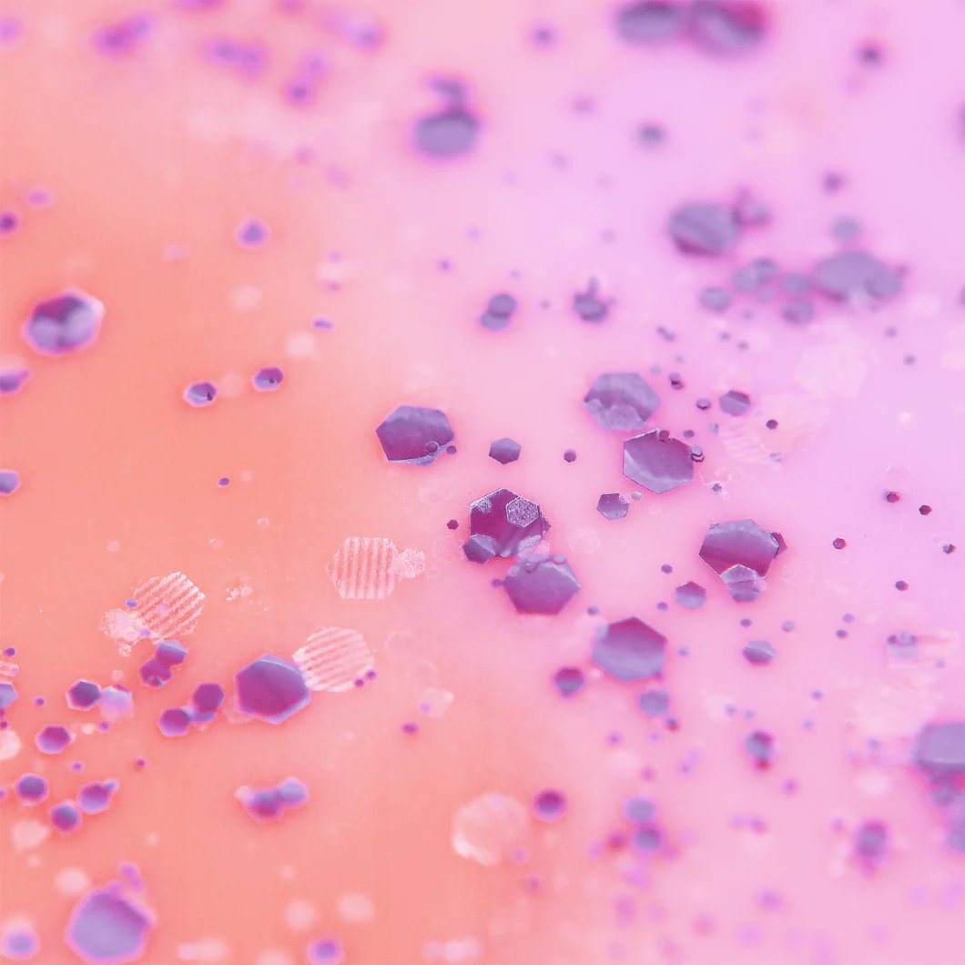 Blackberry Twilight Wax Melt - Image 5