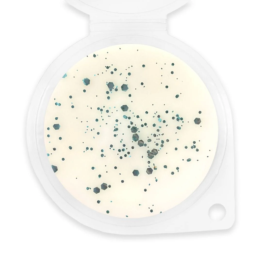 Coconut Sunshine Wax Melt - Image 2