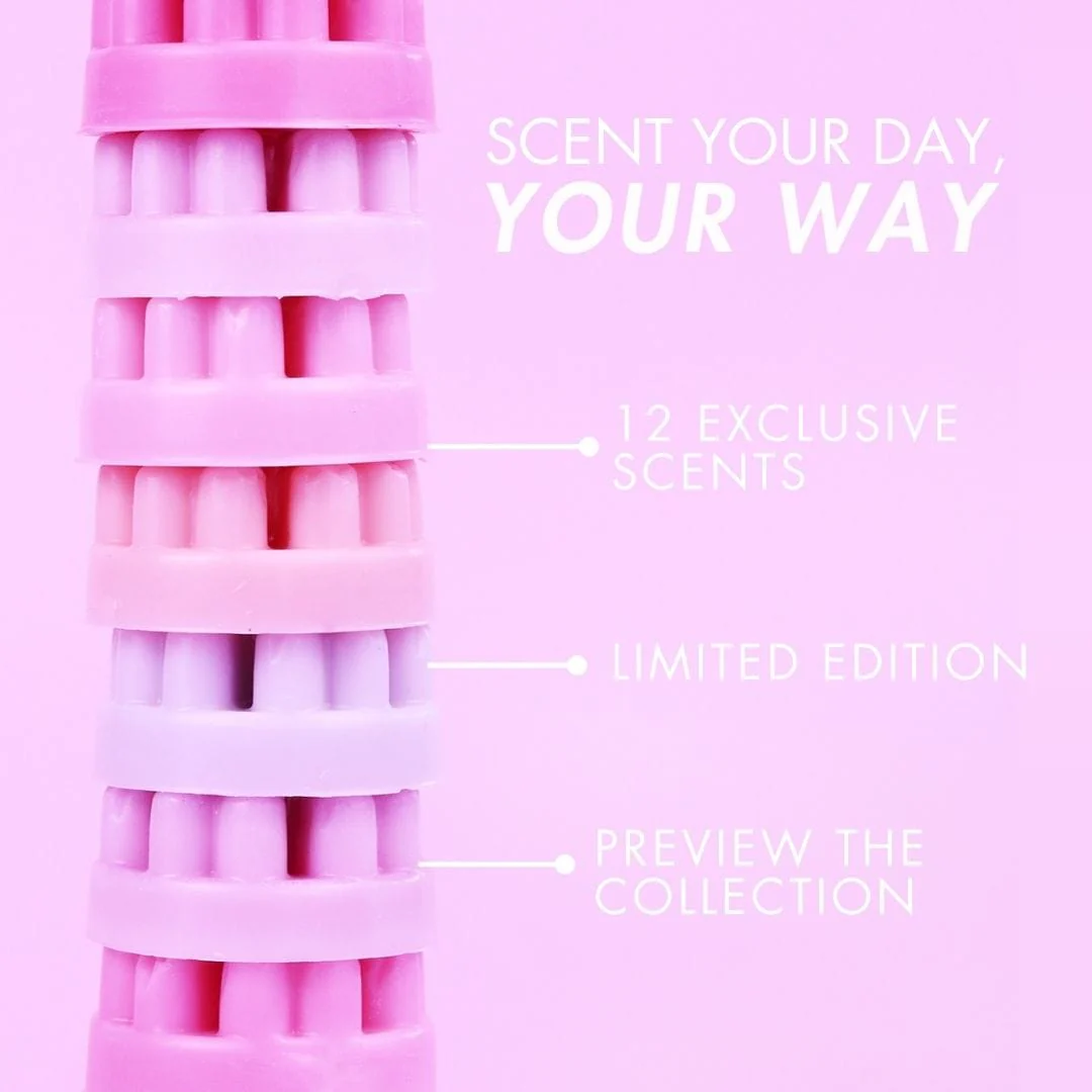 Everything We Love Discovery Set - Image 4