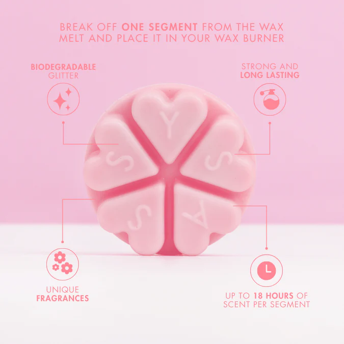 Raspberry Lemonade Wax Melt - Image 4