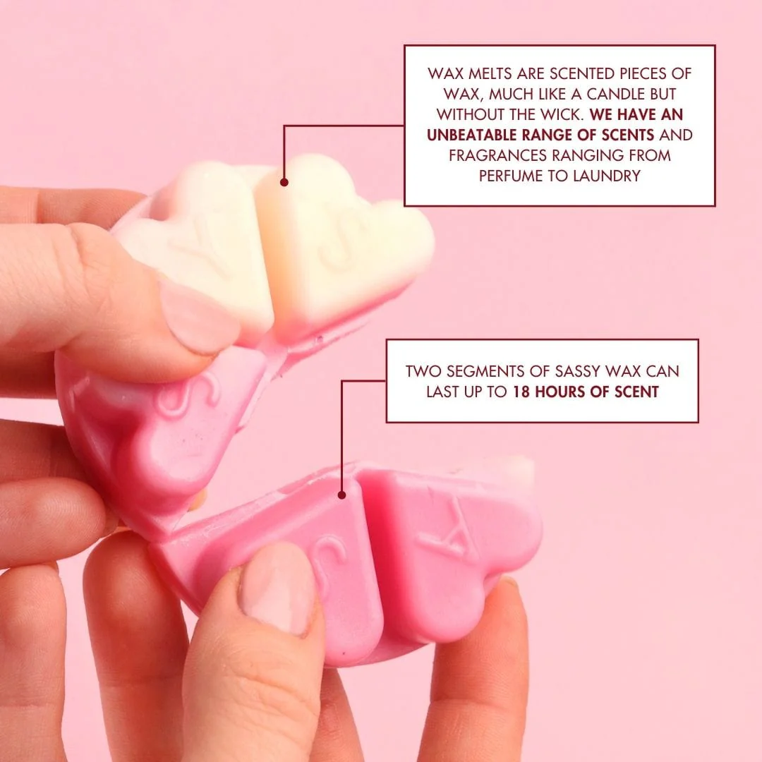 Secret Desire Wax Melt - Image 3