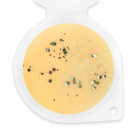 Sunkissed Suede Wax Melt - Image 2