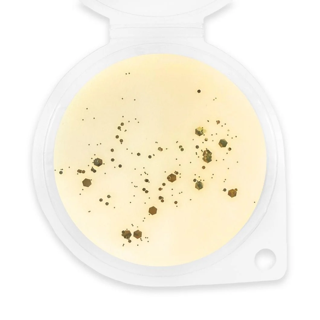 Sunset Lemonade Wax Melt - Image 2